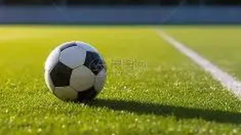 被忽视的边缘！连续六败的玛雅面临何种未来？